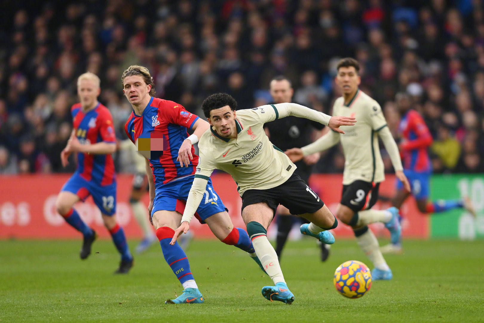 上的新成员 上的新成员